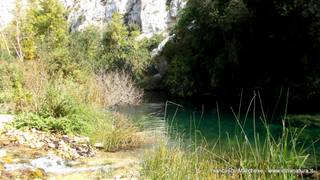 stello marchesa di Cassibile-10-02-2015 19-57-12